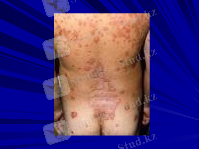 Slide 19