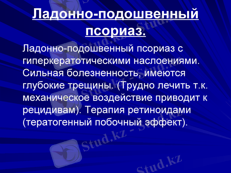 Slide 24