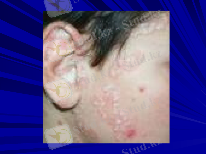 Slide 29