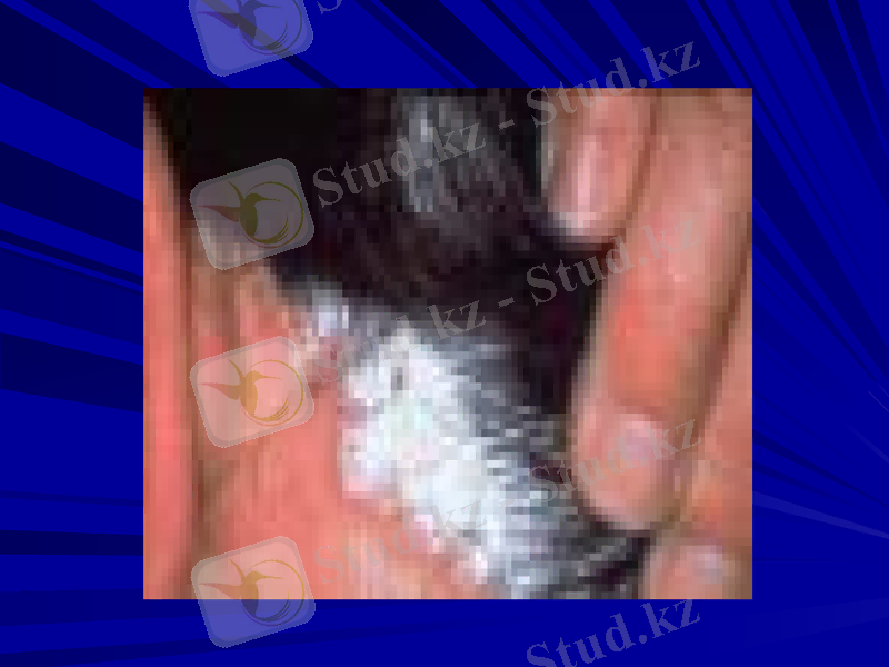 Slide 30