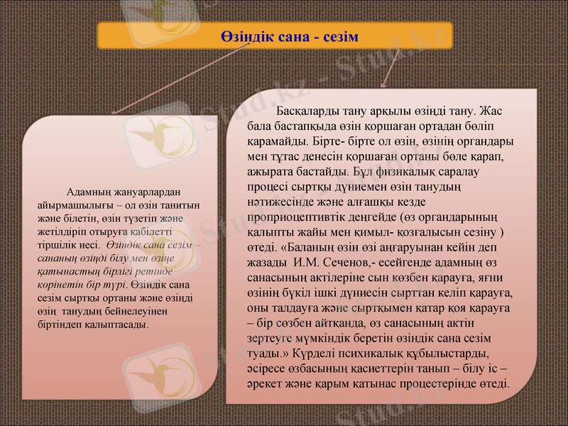 Slide 7