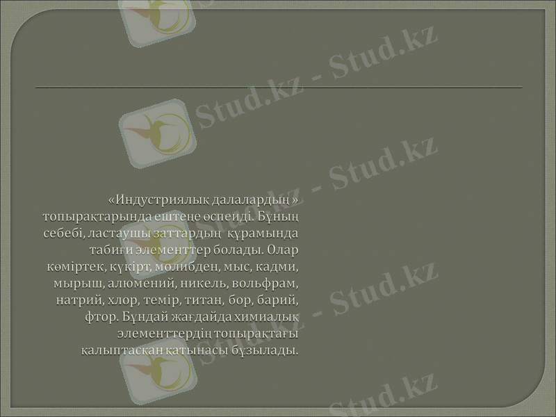 Slide 1