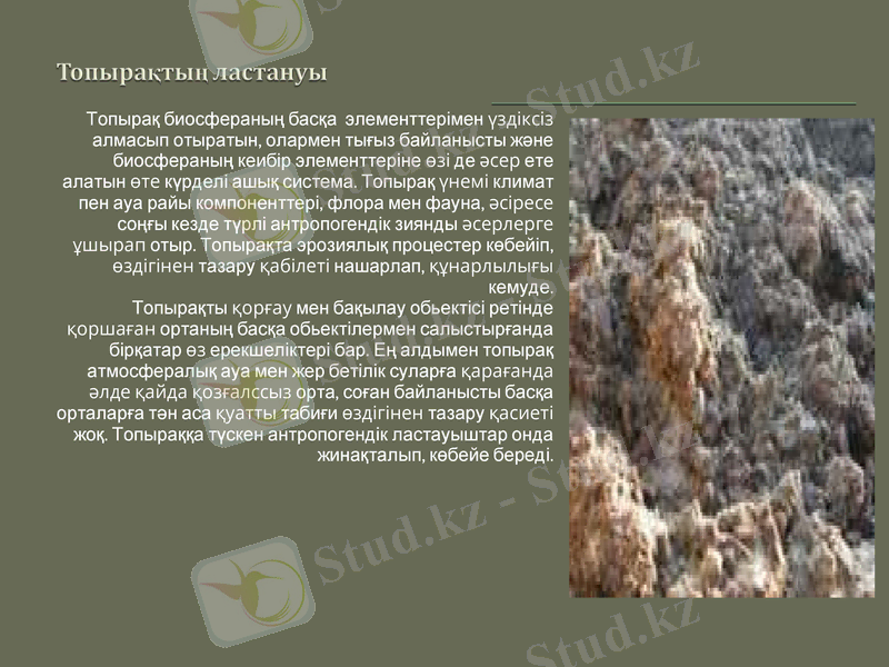 Slide 10