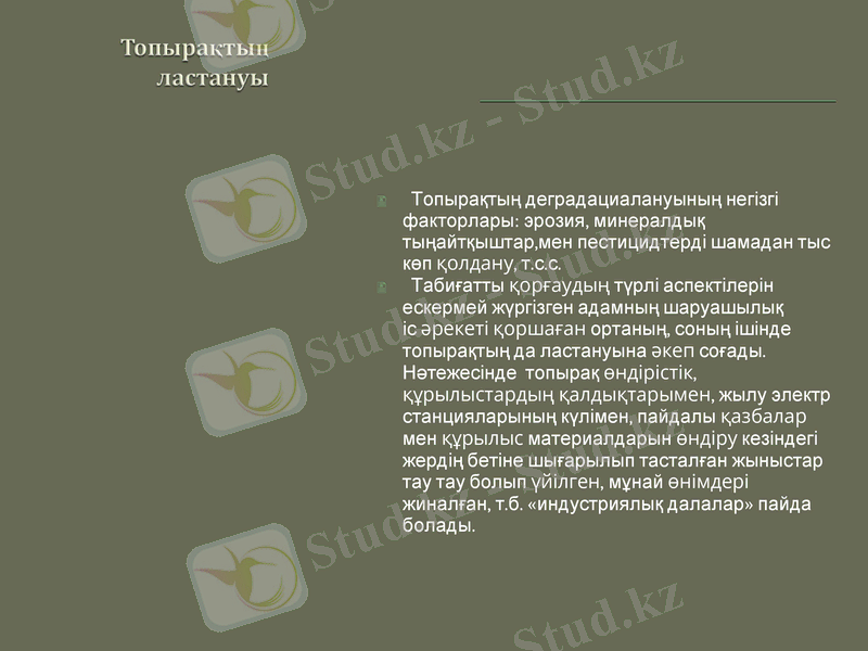 Slide 11