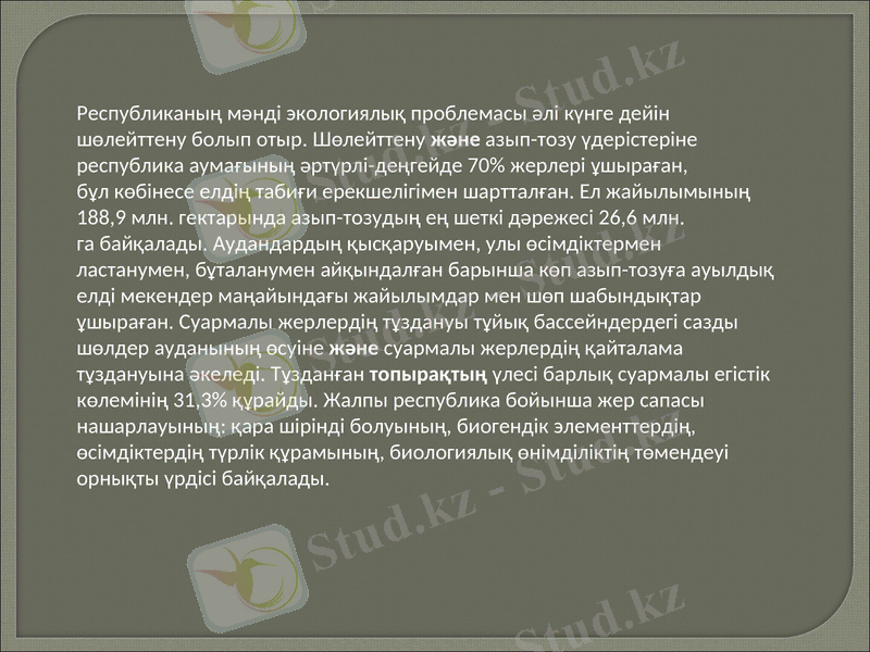 Slide 13