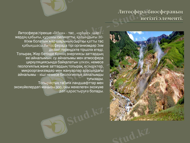 Slide 5