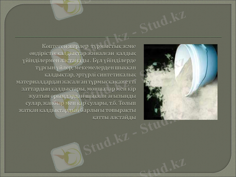 Slide 8