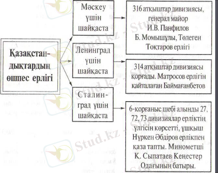 Slide 7