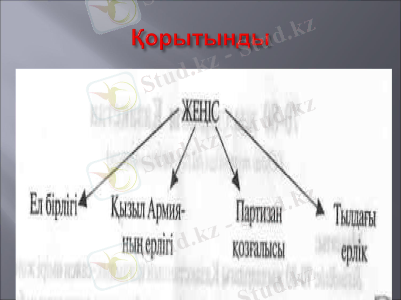 Slide 9