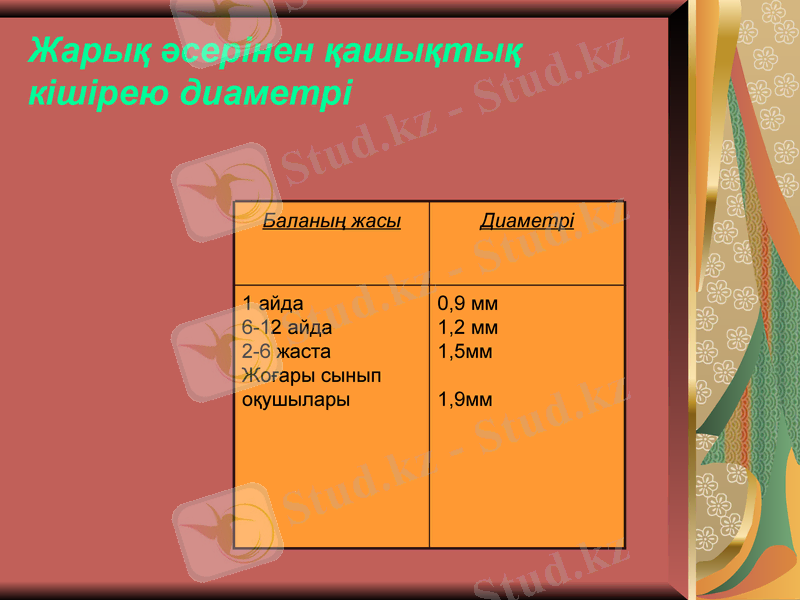 Slide 11