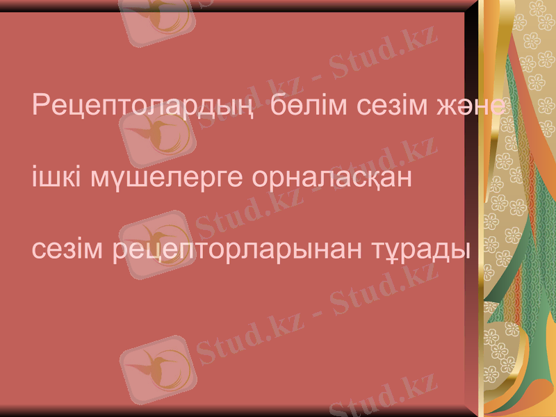 Slide 12