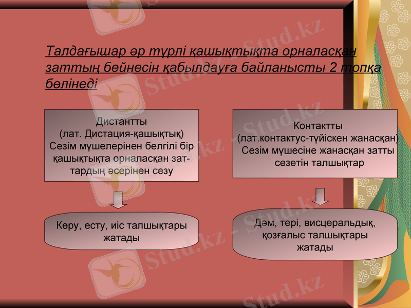 Slide 13