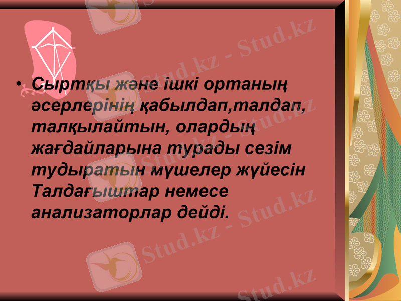 Slide 15