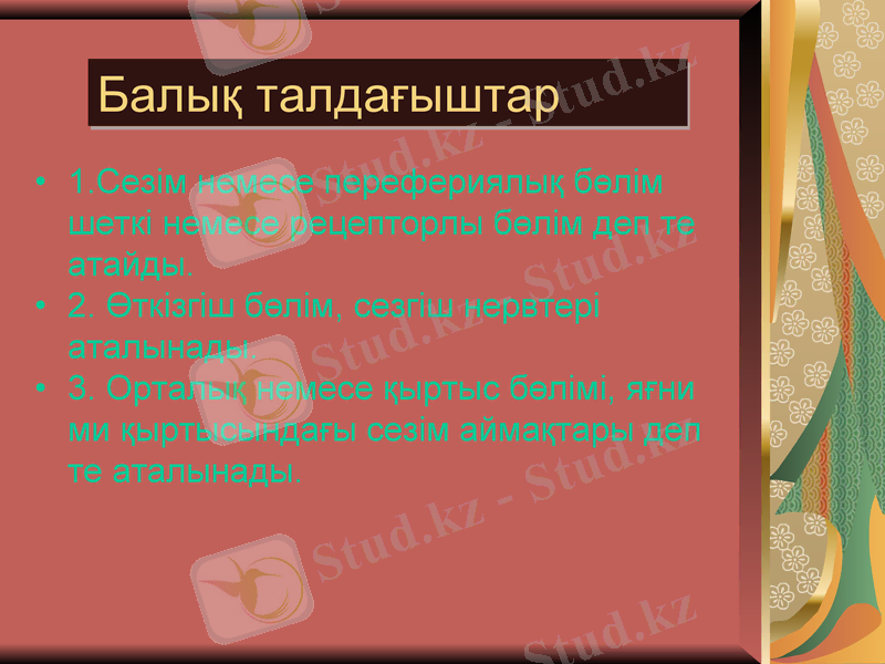 Slide 3