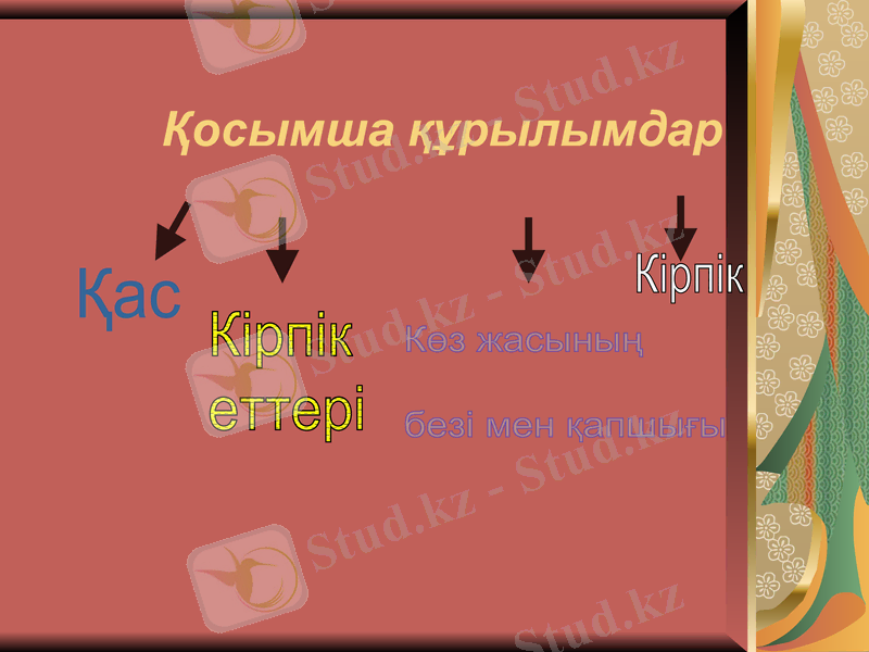 Slide 6