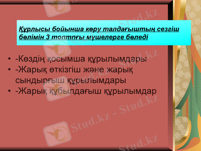 Slide 8
