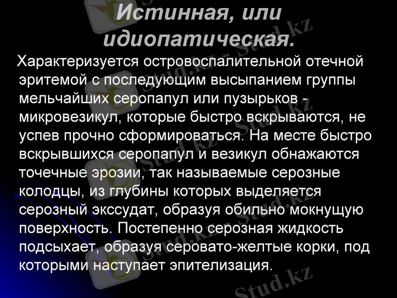 Slide 6