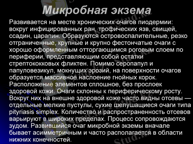Slide 8