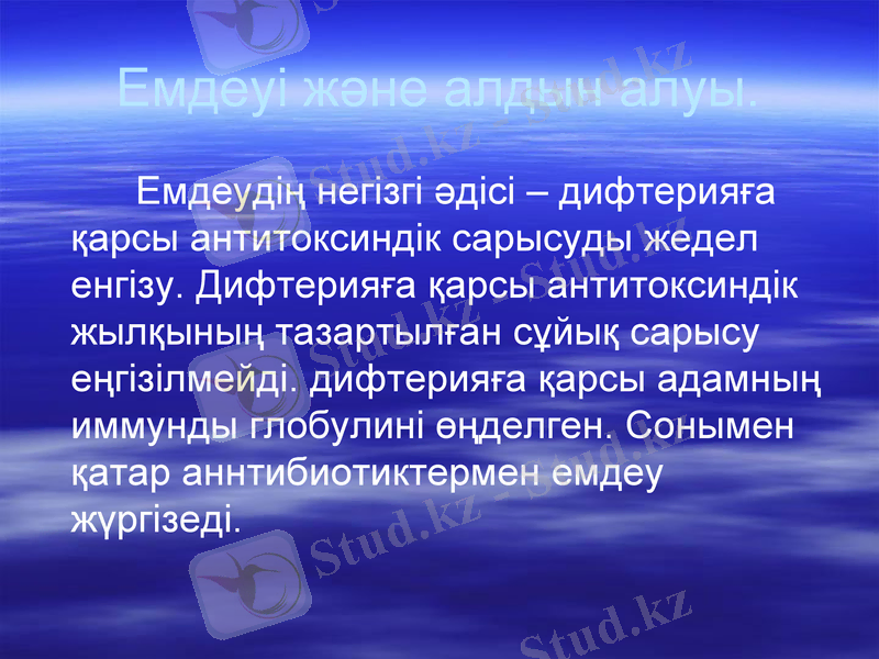 Slide 10
