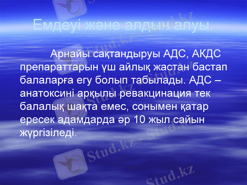 Slide 11