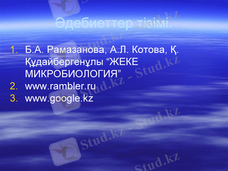 Slide 13