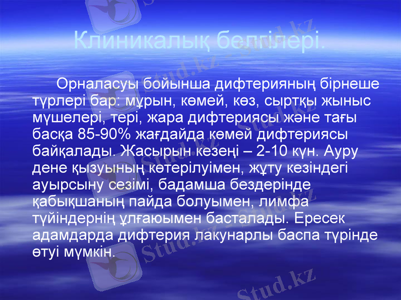 Slide 7