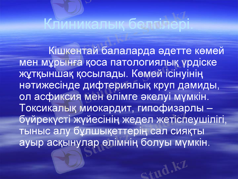 Slide 8