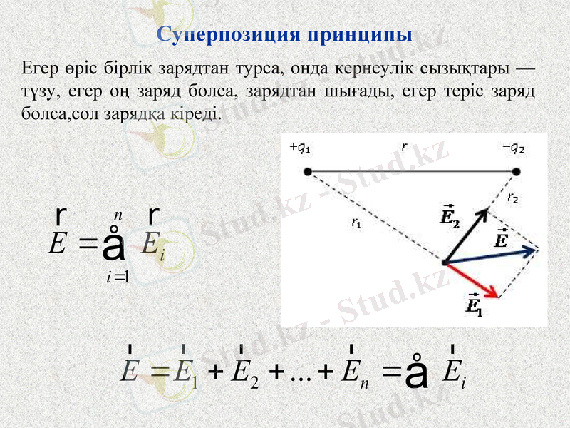 Slide 10