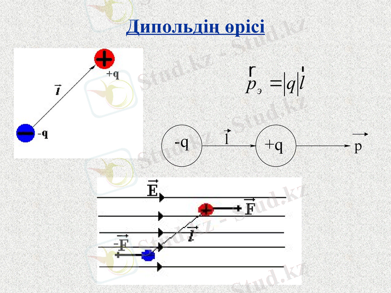 Slide 11