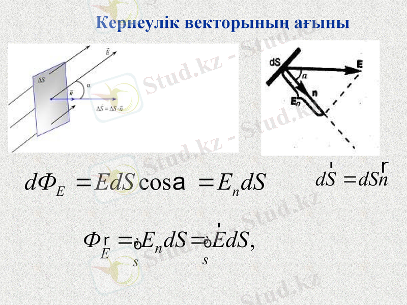 Slide 12