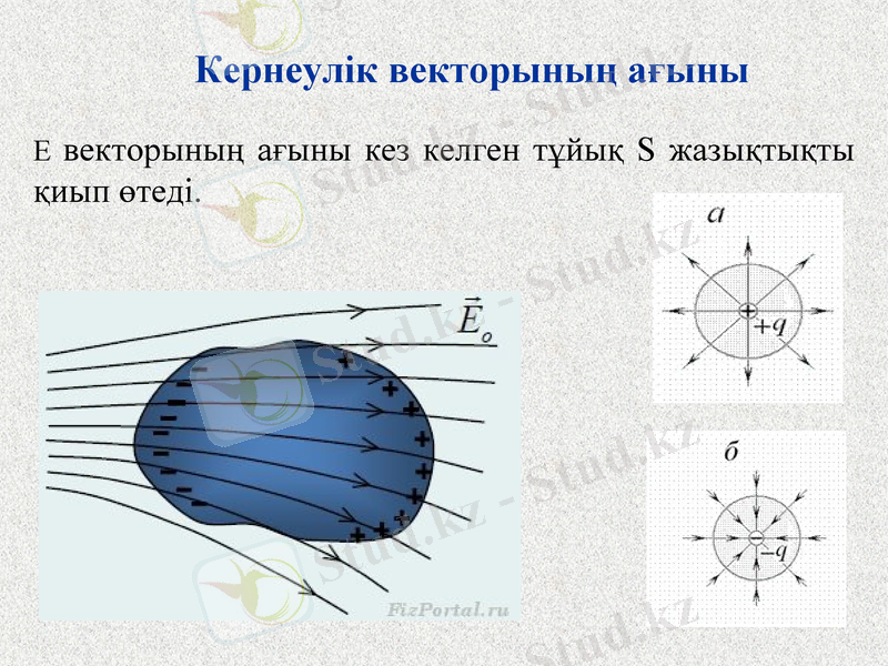 Slide 13