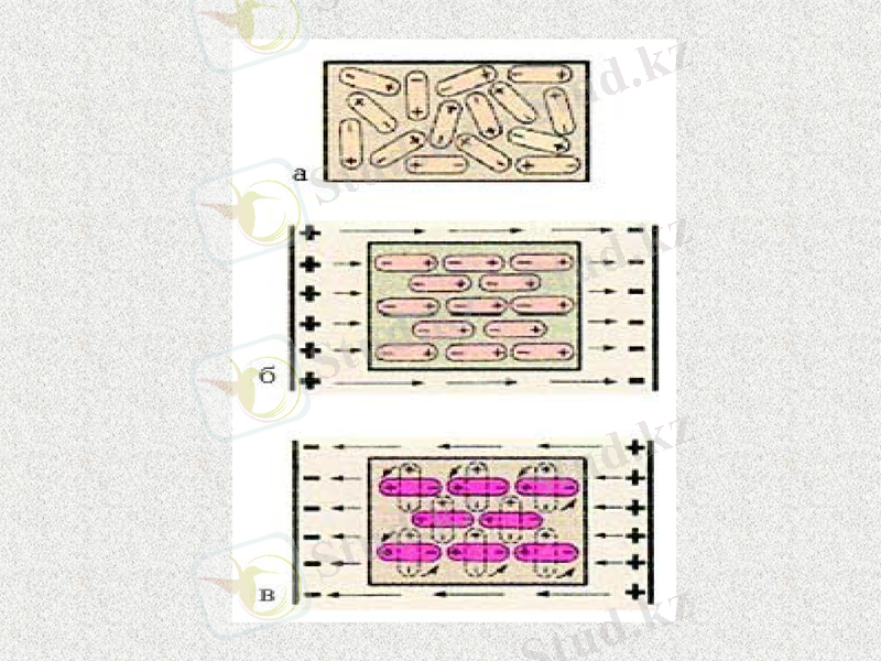 Slide 29