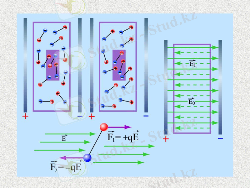 Slide 30