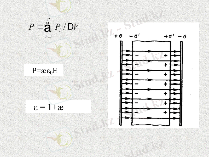 Slide 31
