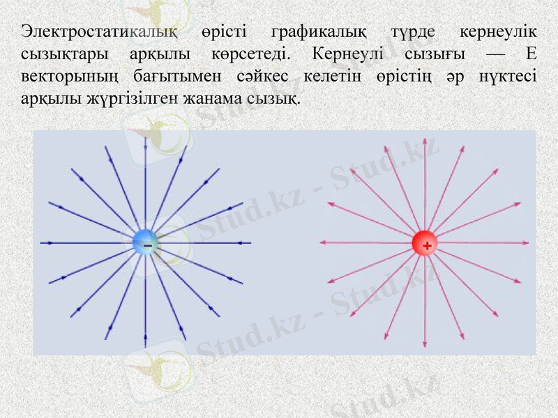 Slide 8