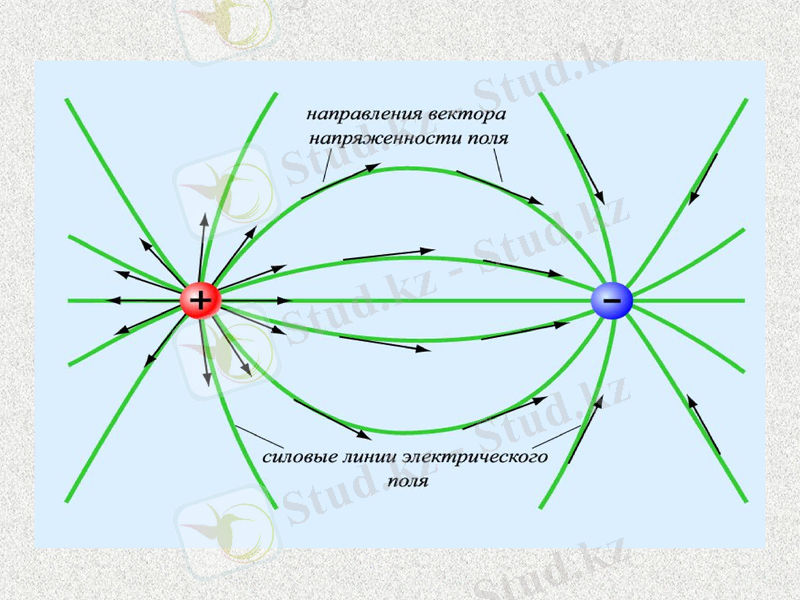 Slide 9