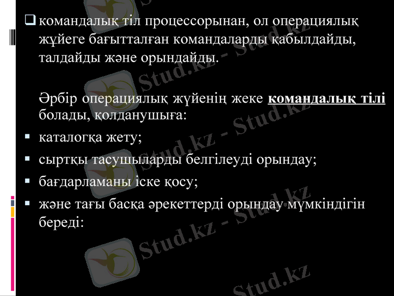 Slide 10