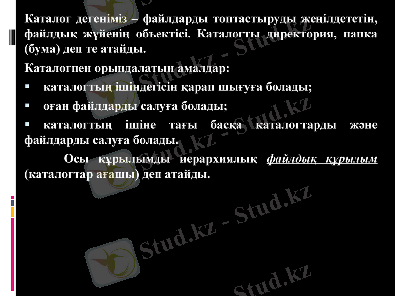 Slide 13