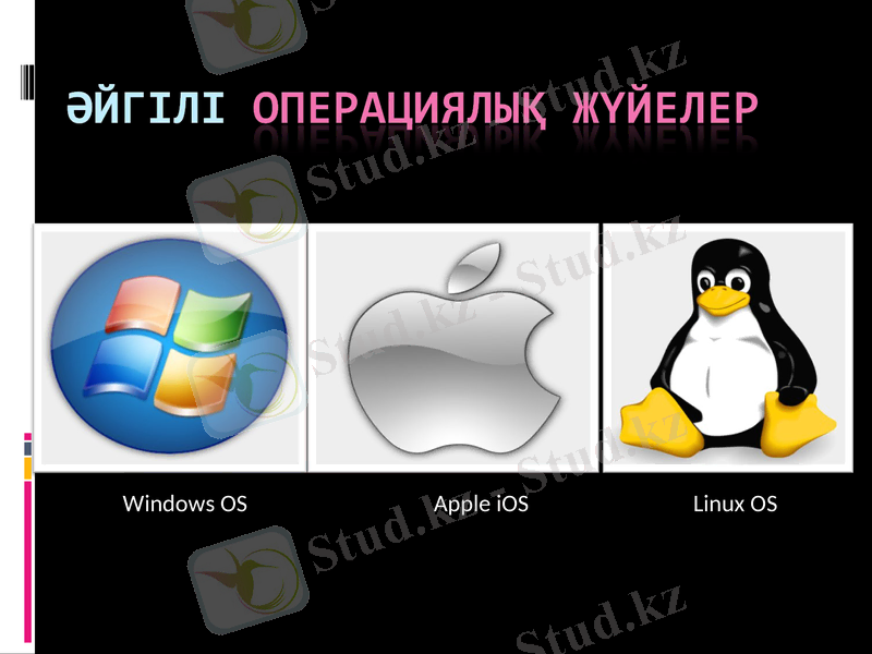 Slide 19