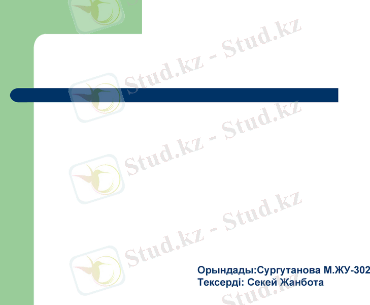 Slide 12