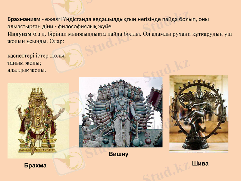 Slide 5