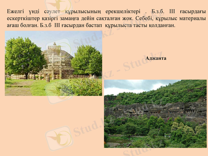 Slide 7