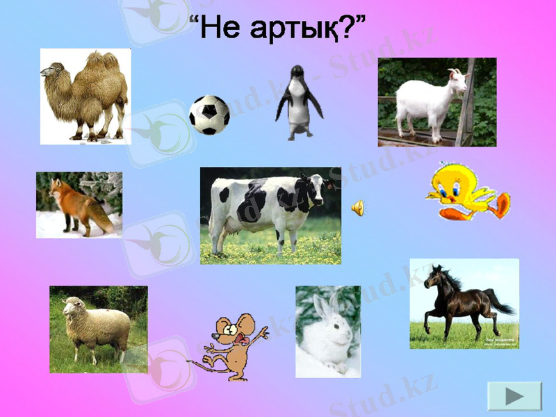 Slide 11