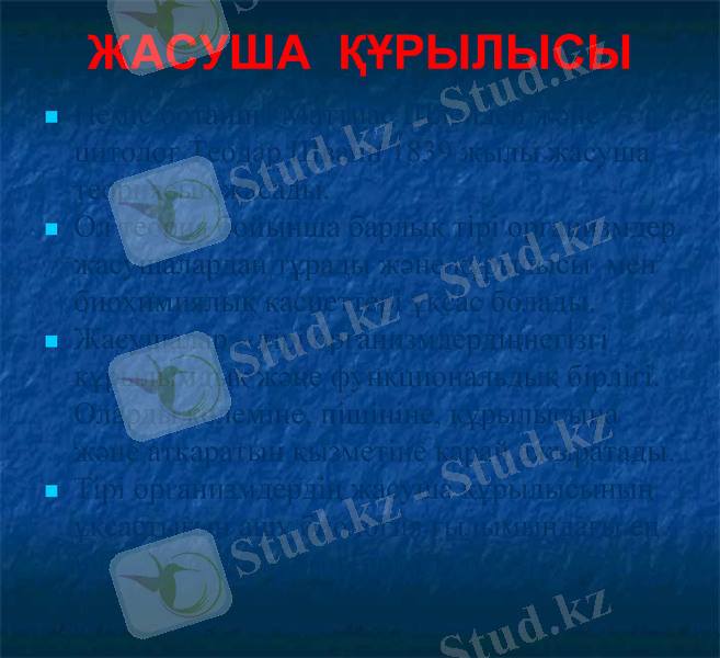 Slide 1