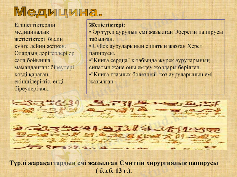Slide 10