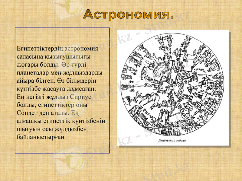 Slide 8