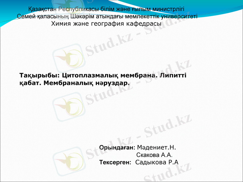 Slide 1
