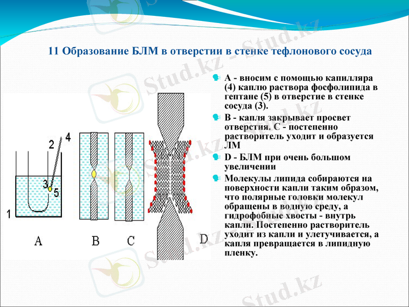 Slide 12