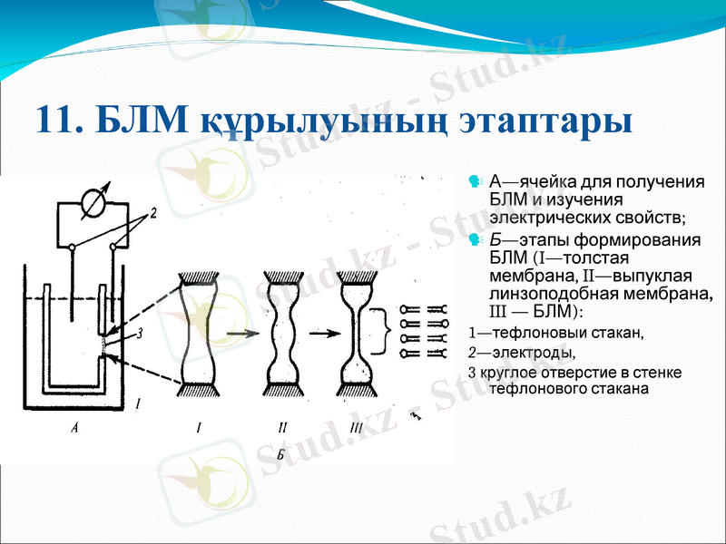 Slide 13