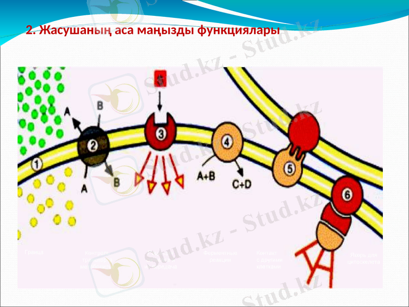 Slide 3